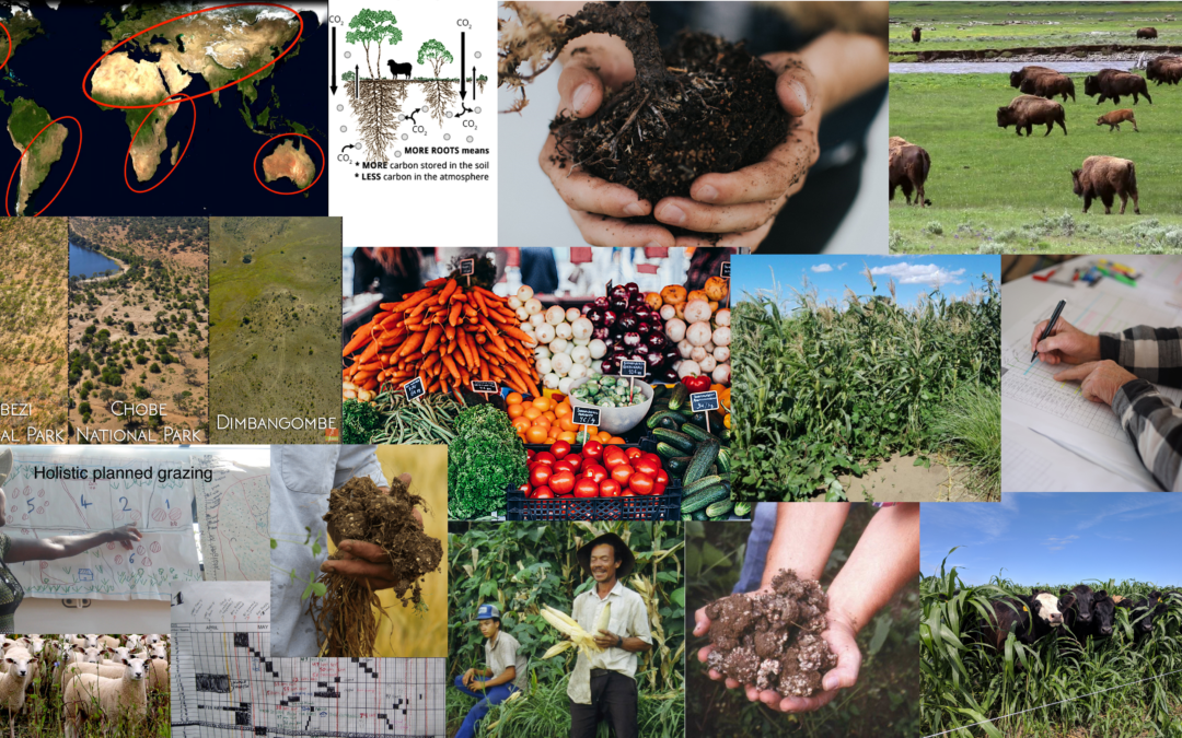 Regenerative Agriculture and Holistic Management – Part 2